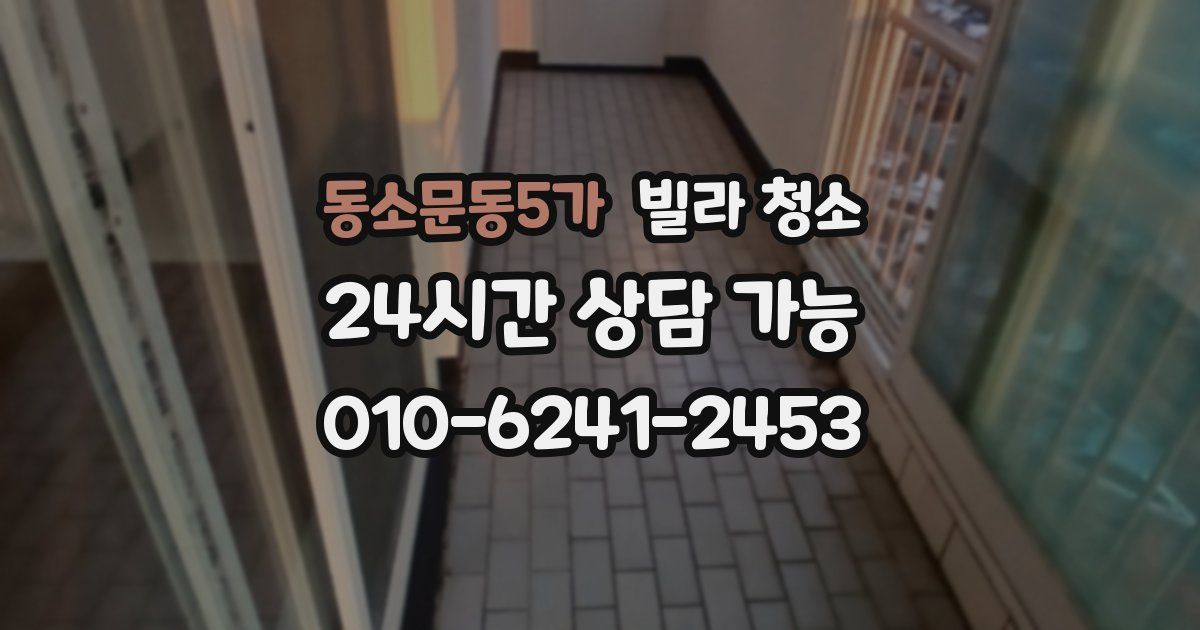 동소문동5가 빌라 청소