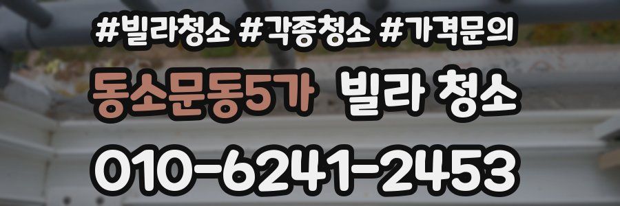 동소문동5가 빌라 청소