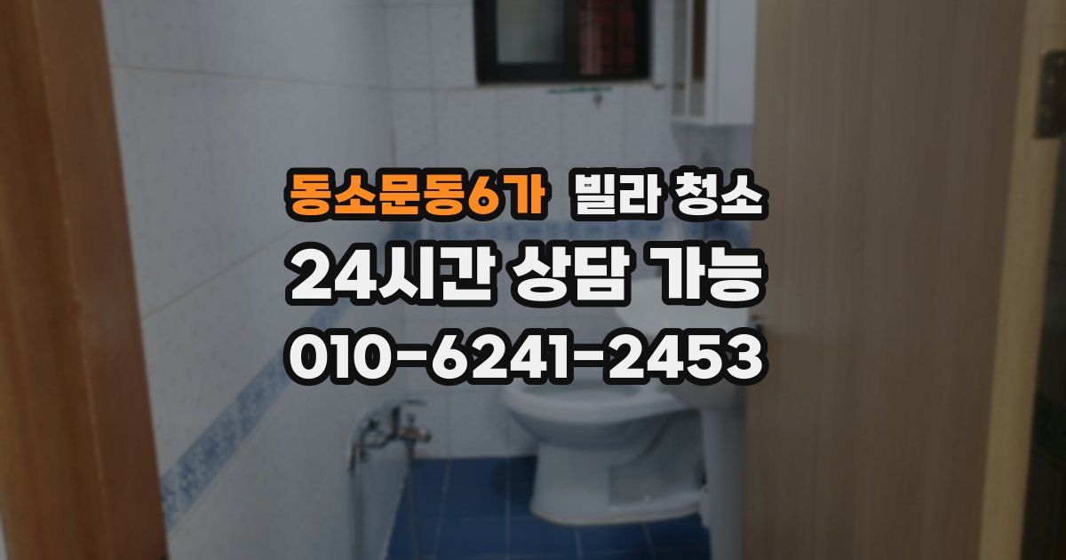 동소문동6가 빌라 청소