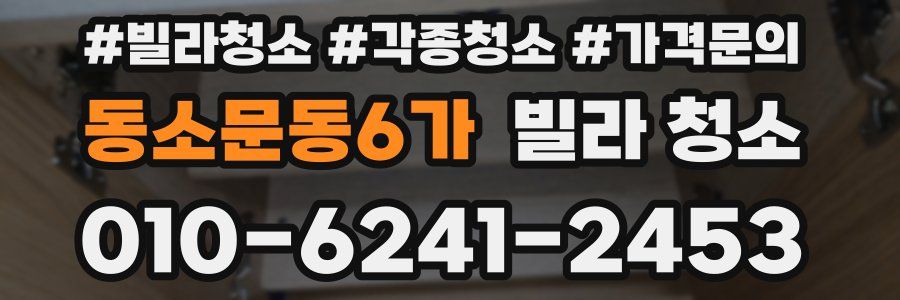 동소문동6가 빌라 청소