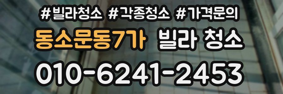 동소문동7가 빌라 청소