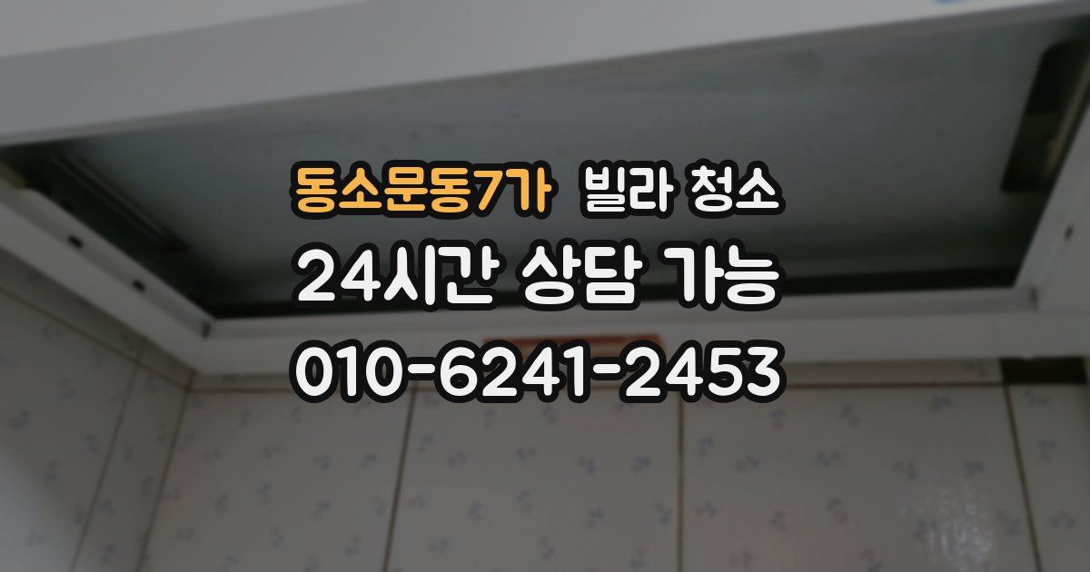 동소문동7가 빌라 청소