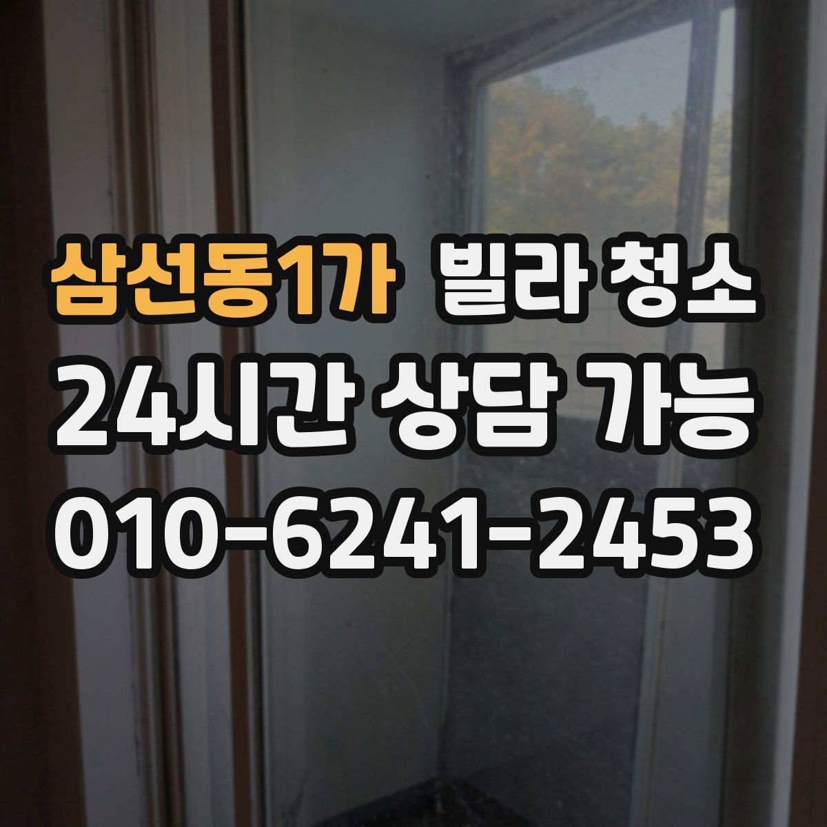 삼선동1가 빌라 청소