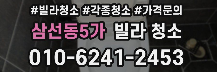 삼선동5가 빌라 청소