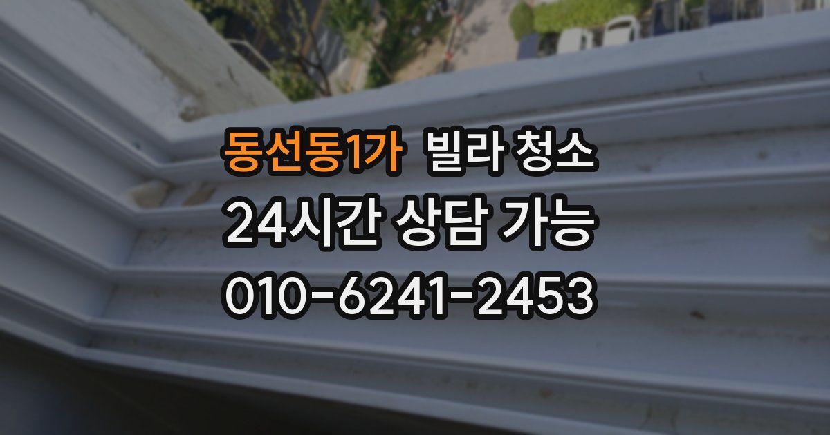 동선동1가 빌라 청소
