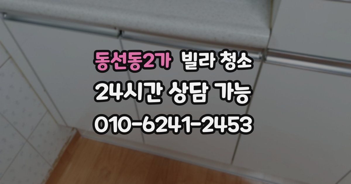 동선동2가 빌라 청소