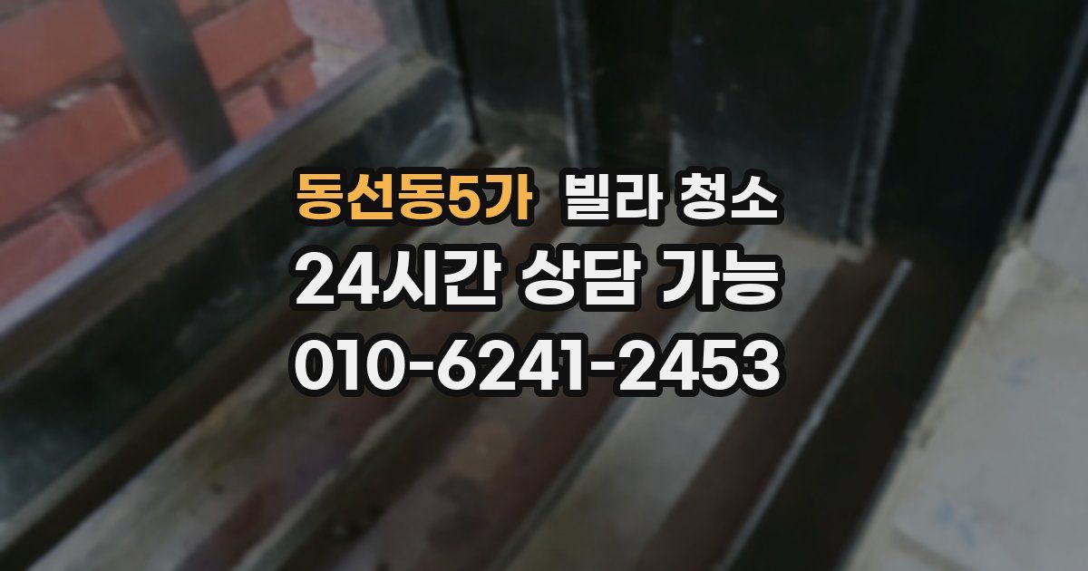 동선동5가 빌라 청소