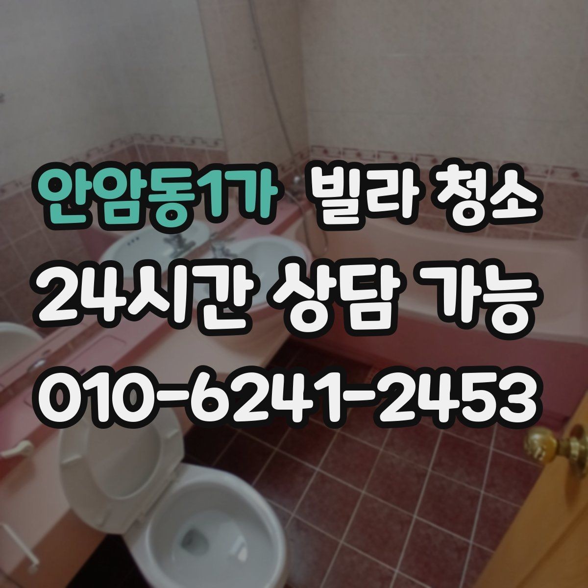 안암동1가 빌라 청소 냉장고 세탁기 이동 청소가 가능한지