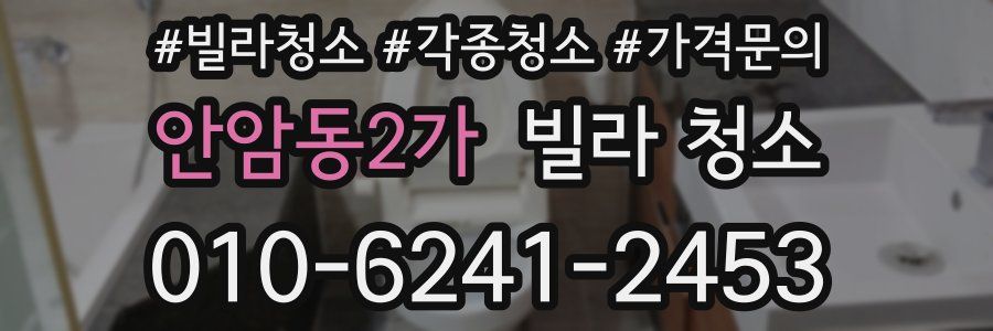 안암동2가 빌라 청소