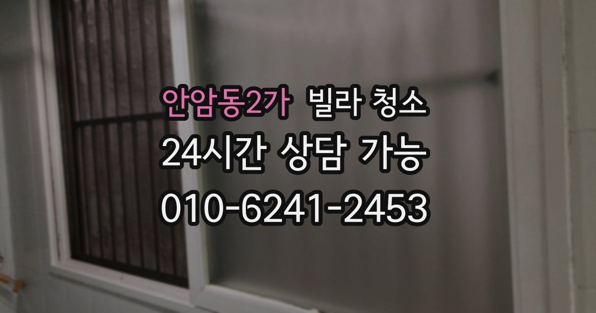 안암동2가 빌라 청소