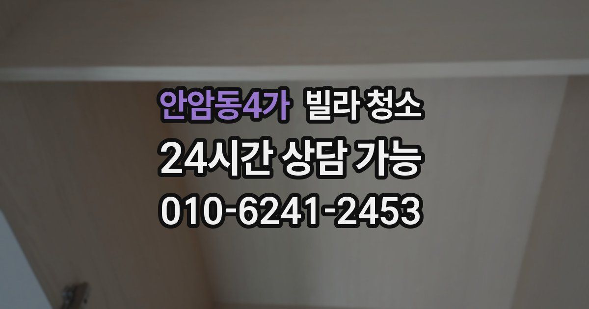 안암동4가 빌라 청소