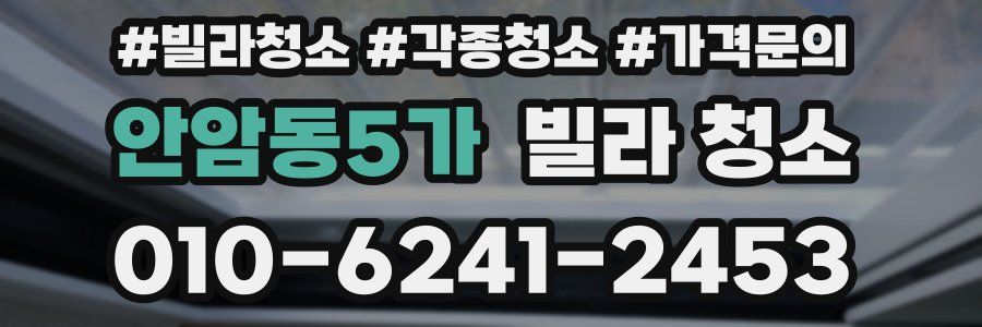 안암동5가 빌라 청소