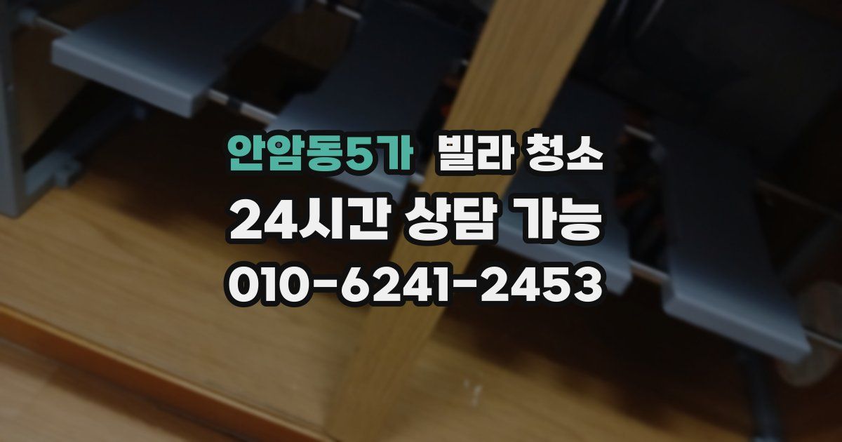 안암동5가 빌라 청소