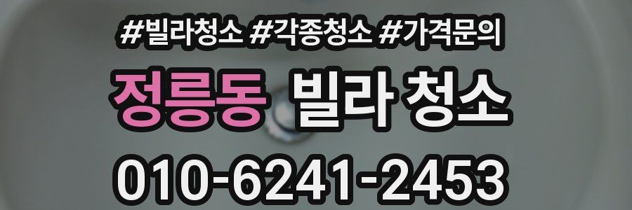 정릉동 빌라 청소