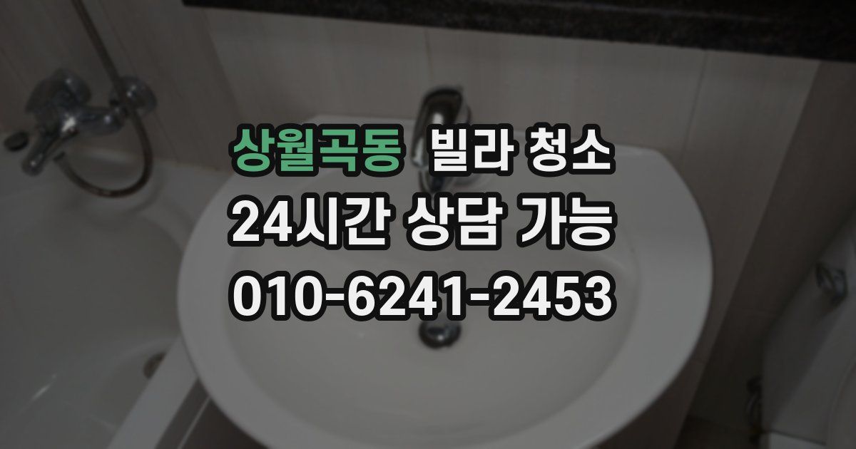 상월곡동 빌라 청소