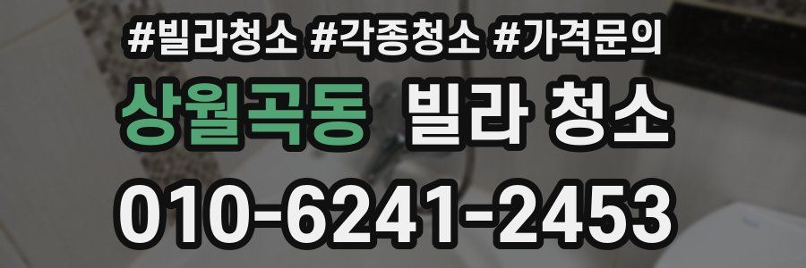 상월곡동 빌라 청소