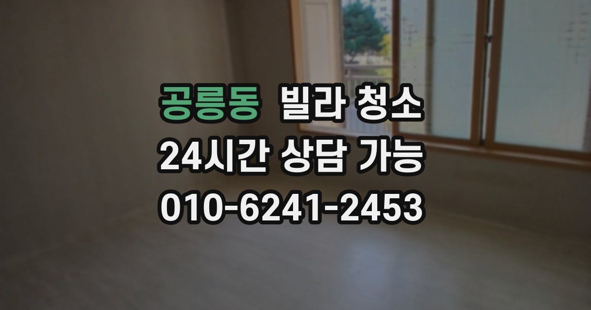 공릉동 빌라 청소