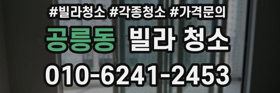 공릉동 빌라 청소