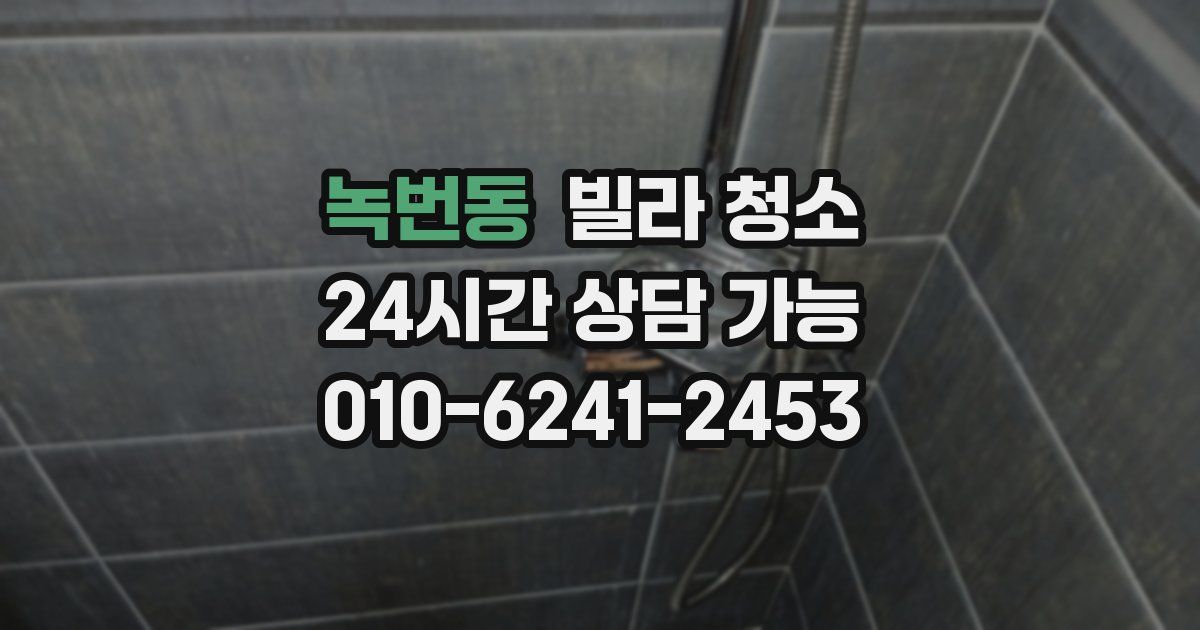 녹번동 빌라 청소