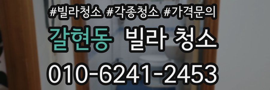 갈현동 빌라 청소