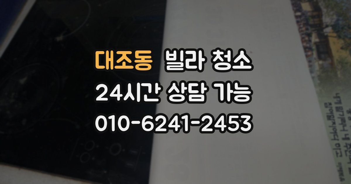 대조동 빌라 청소