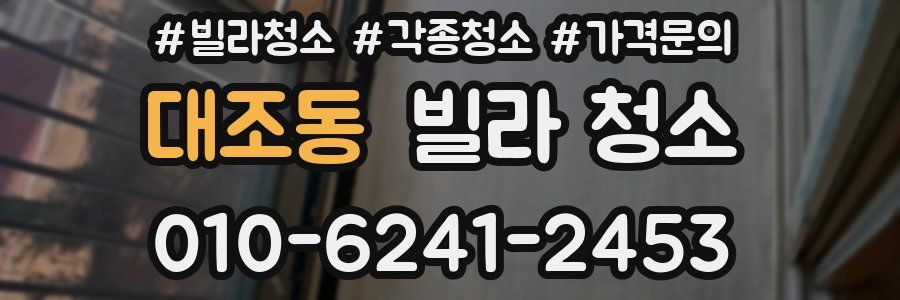 대조동 빌라 청소