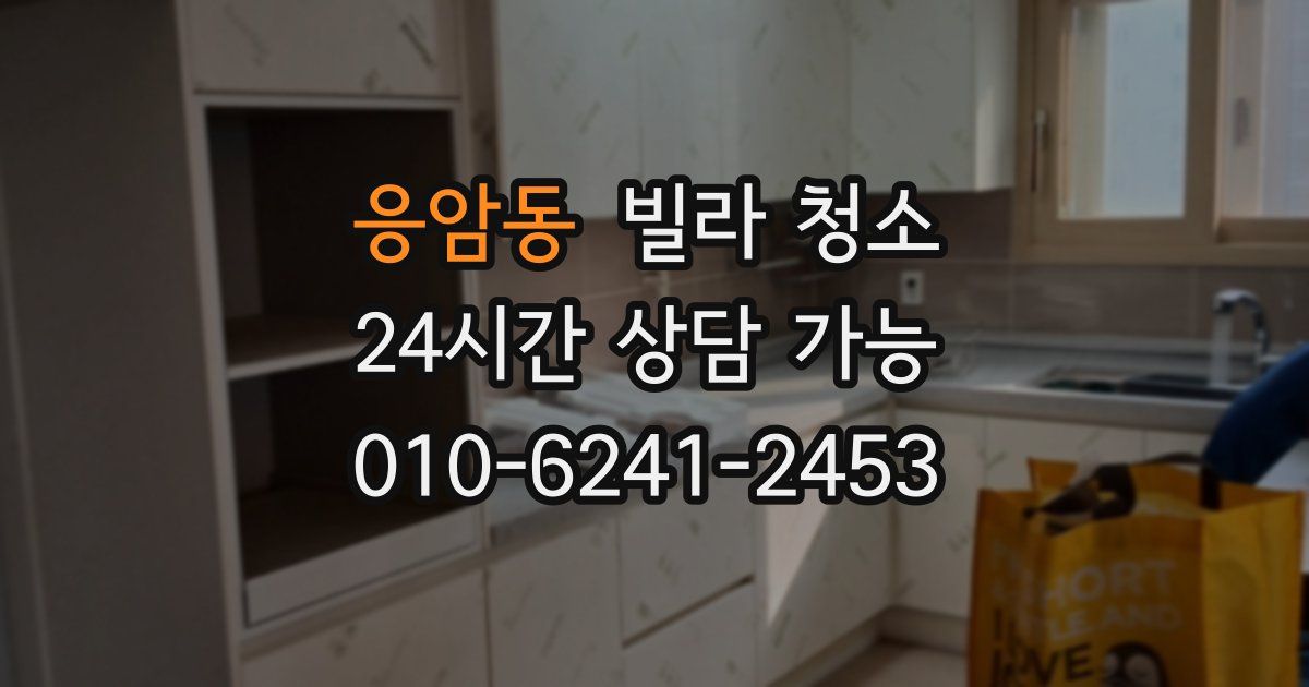 응암동 빌라 청소