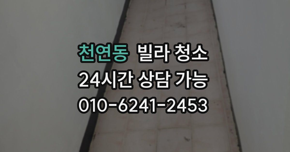 천연동 빌라 청소