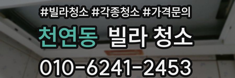 천연동 빌라 청소