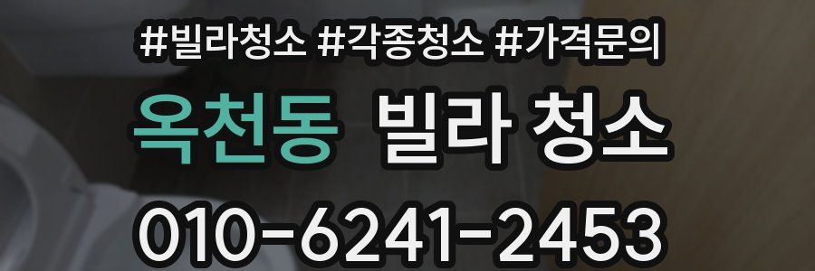 옥천동 빌라 청소