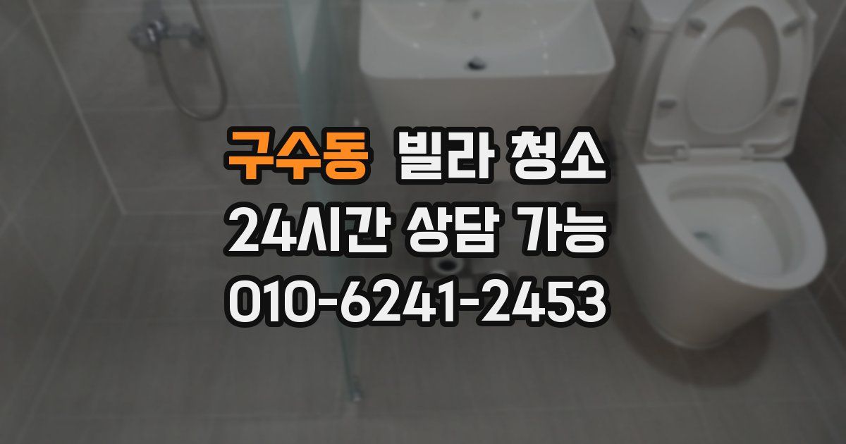 구수동 빌라 청소