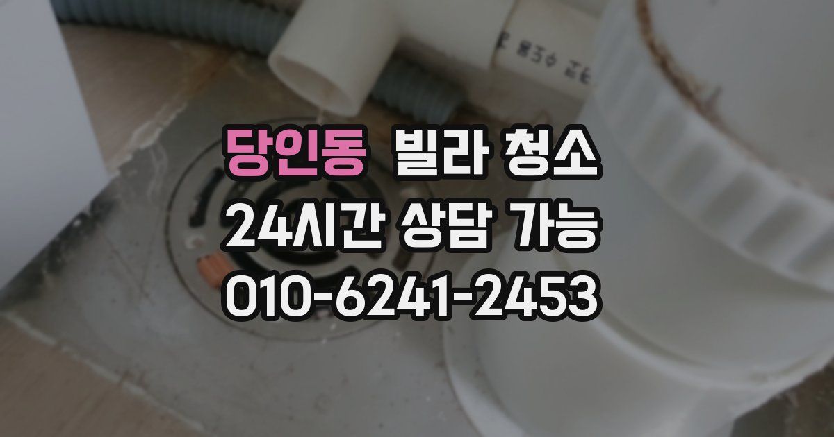 당인동 빌라 청소