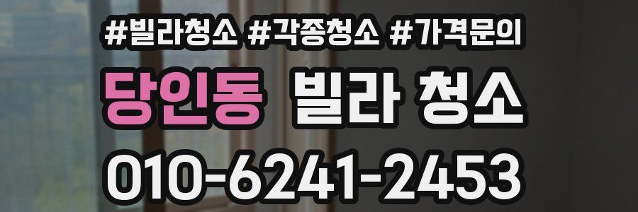 당인동 빌라 청소