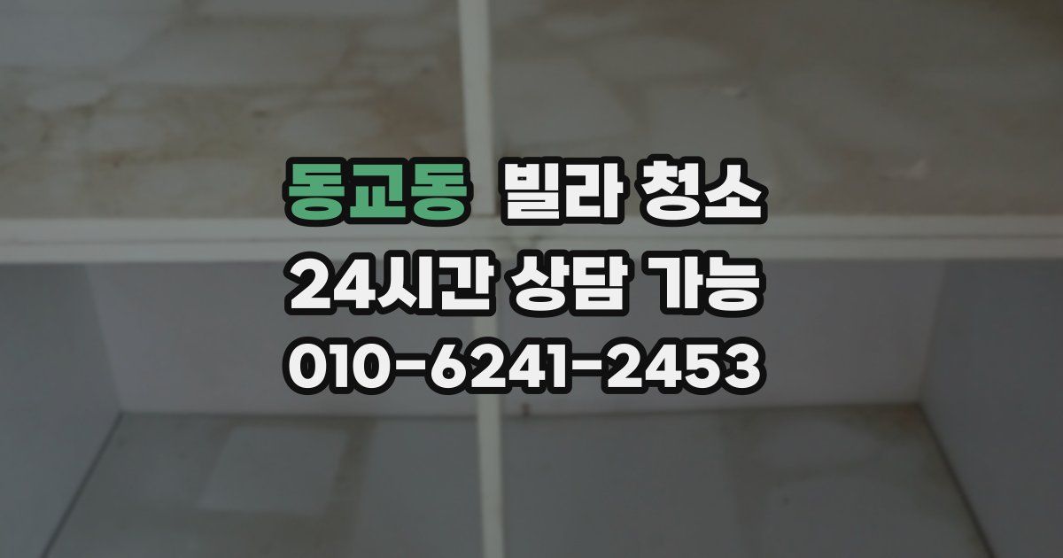 동교동 빌라 청소