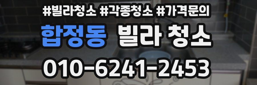 합정동 빌라 청소