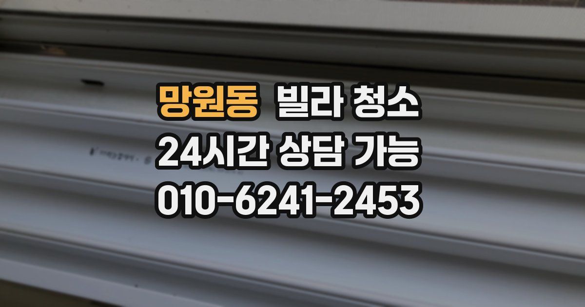 망원동 빌라 청소