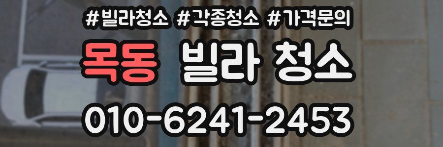 목동 빌라 청소