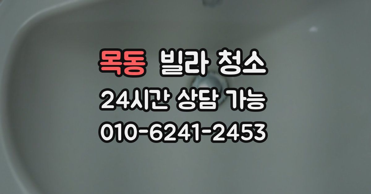 목동 빌라 청소