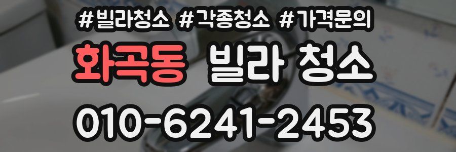 화곡동 빌라 청소