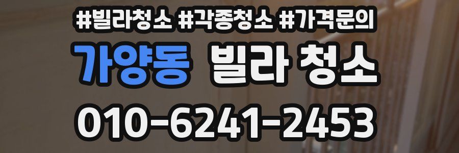 가양동 빌라 청소