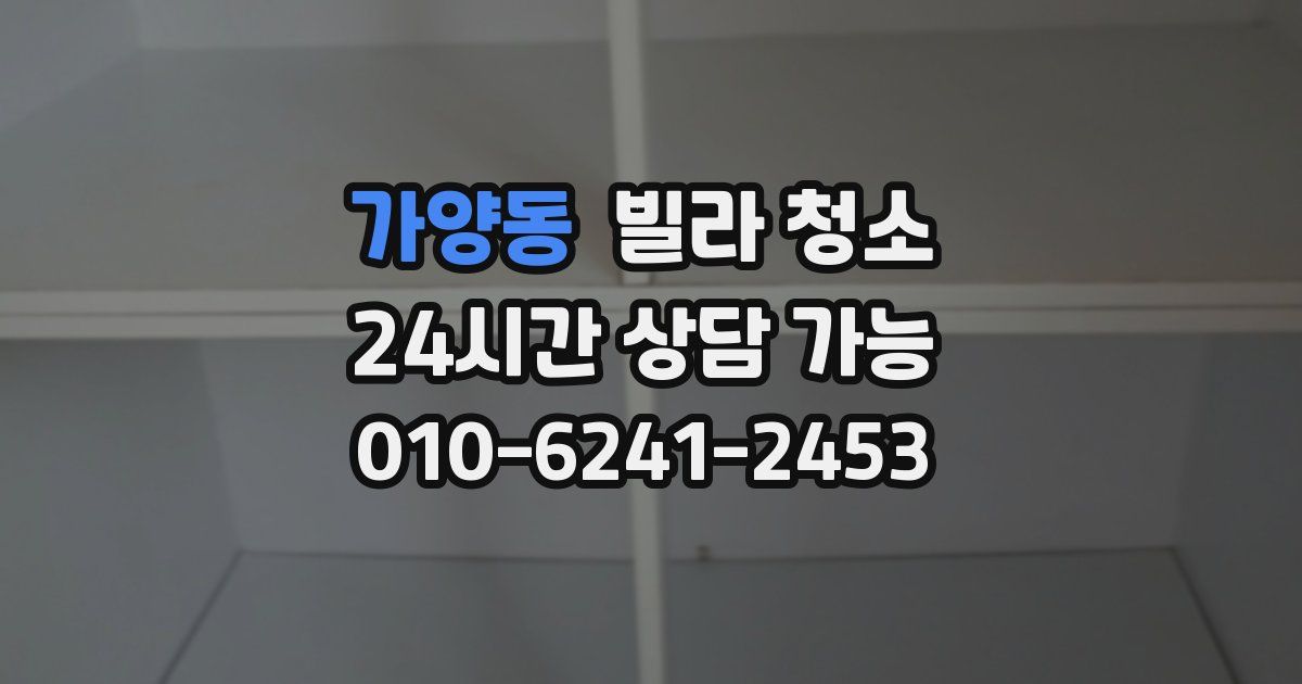 가양동 빌라 청소