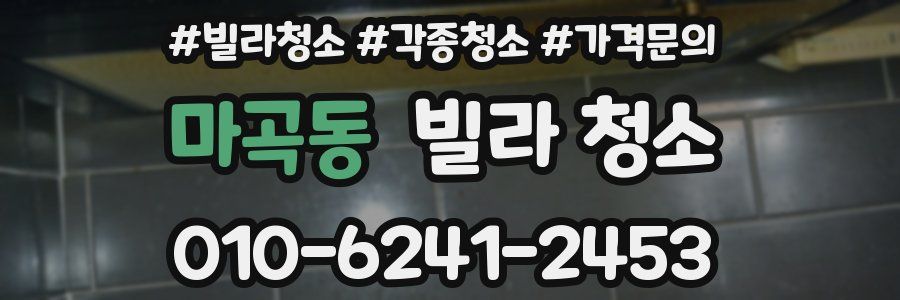 마곡동 빌라 청소