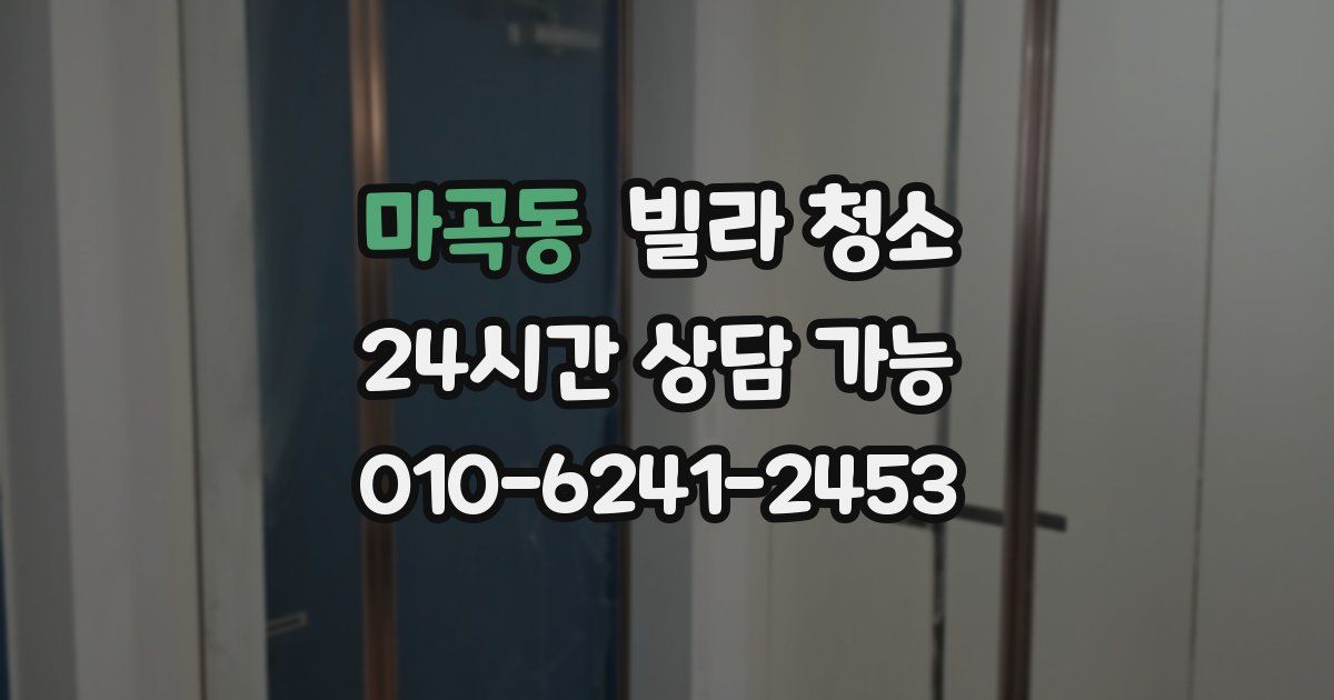 마곡동 빌라 청소