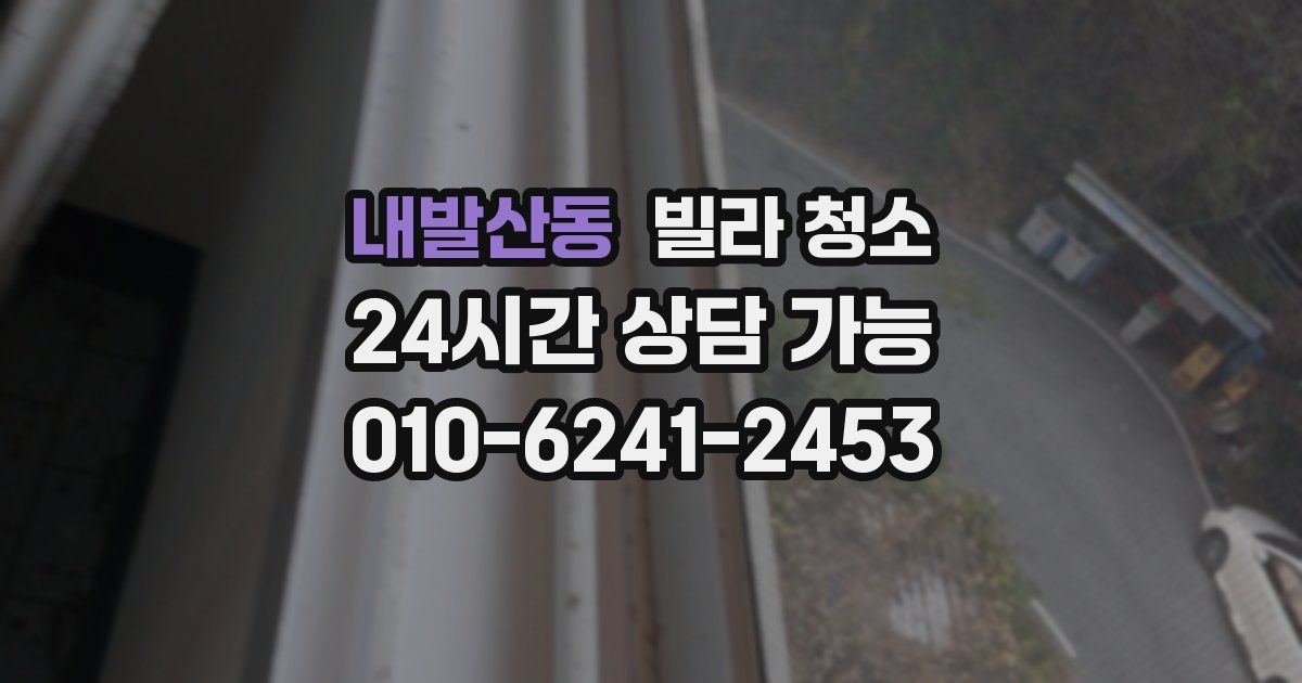 내발산동 빌라 청소