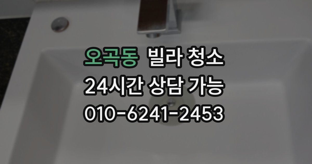 오곡동 빌라 청소