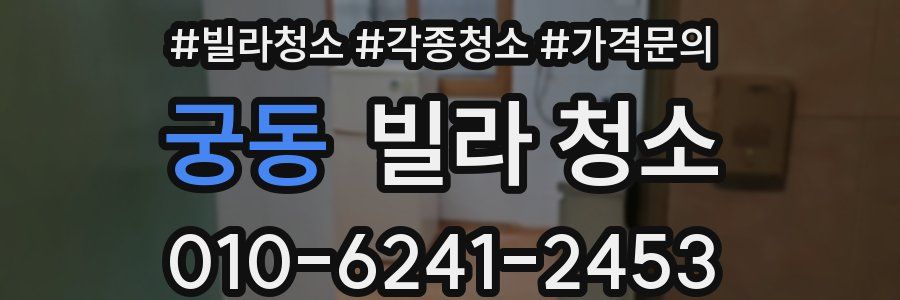 궁동 빌라 청소