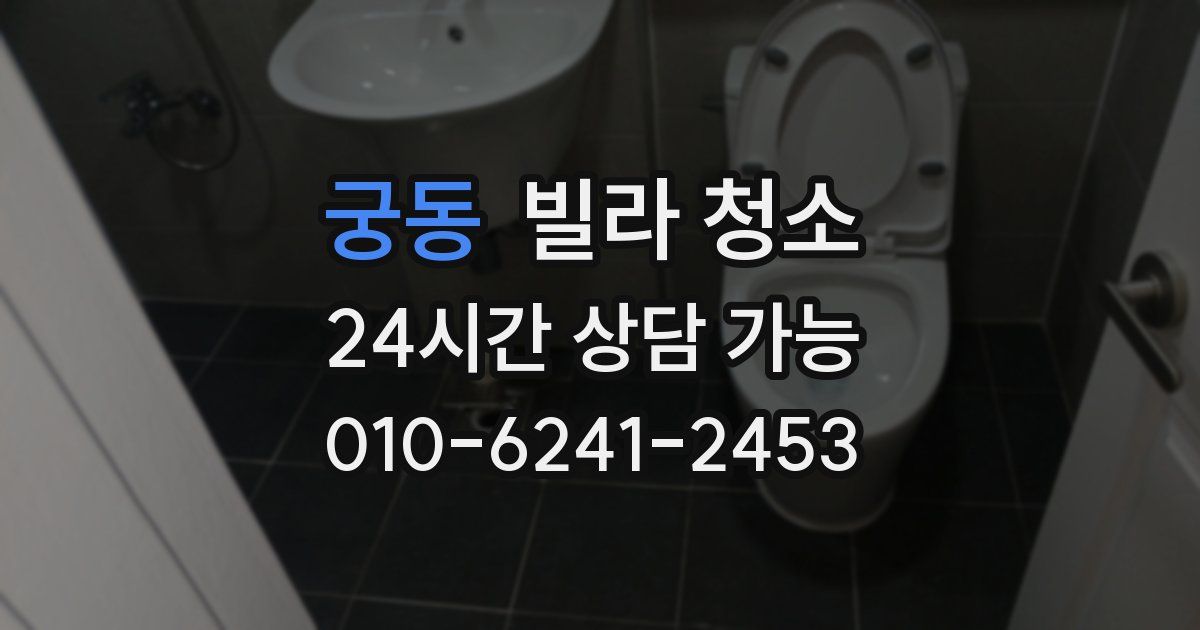 궁동 빌라 청소