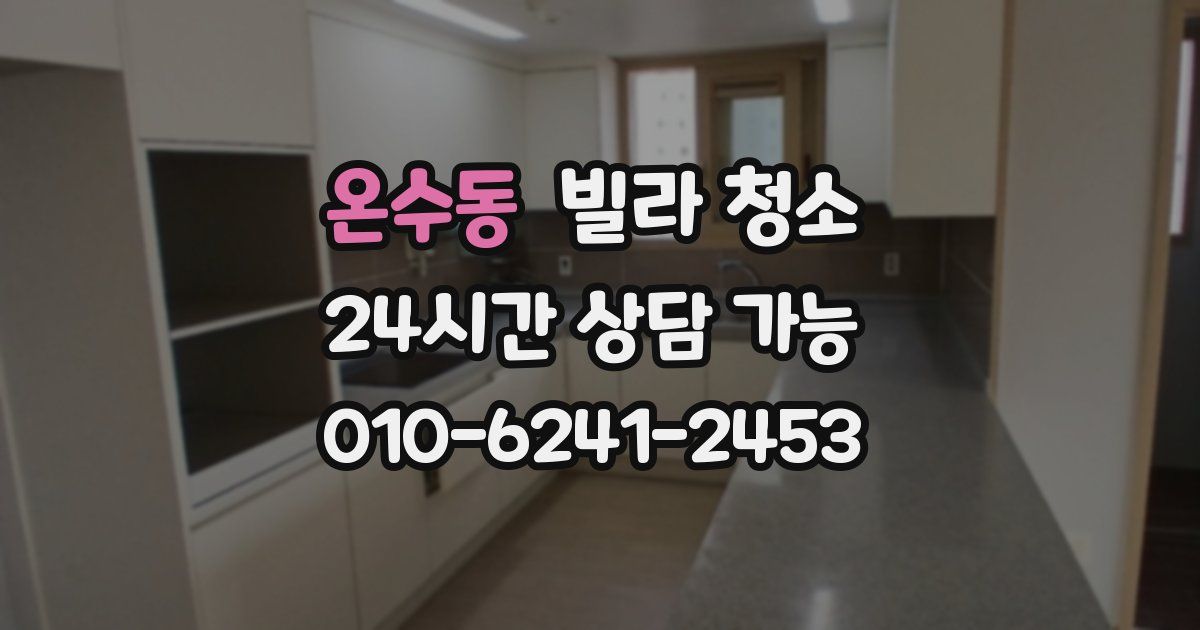 온수동 빌라 청소