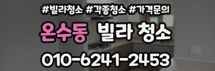 온수동 빌라 청소