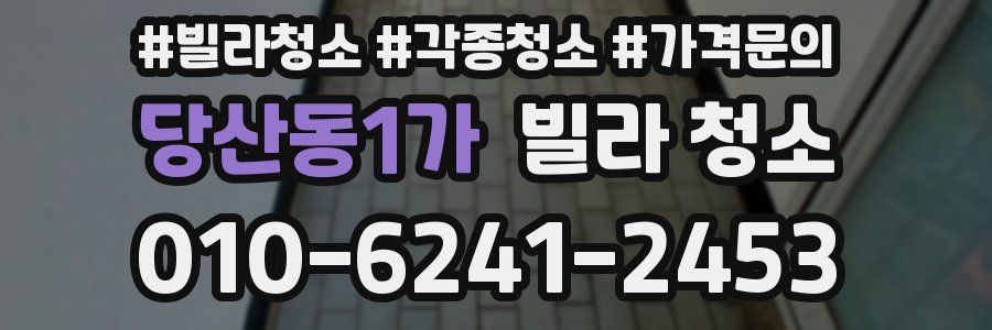 당산동1가 빌라 청소